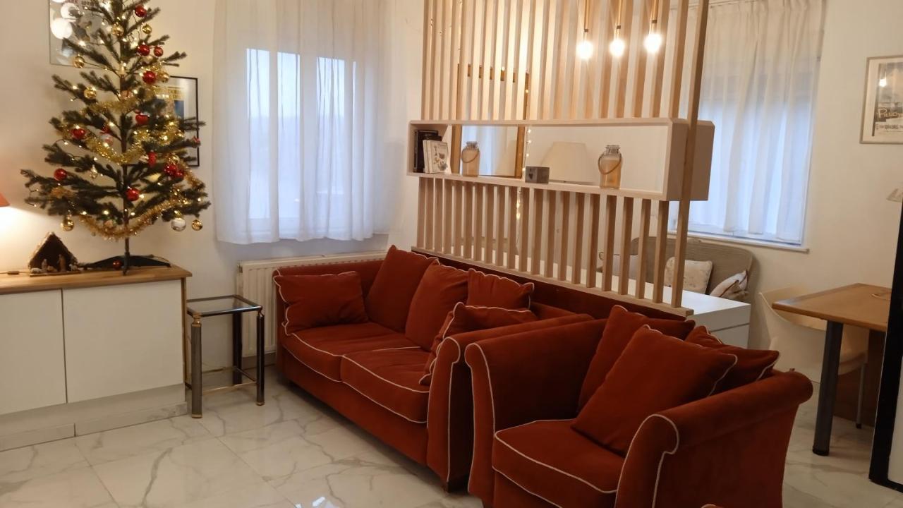 Liege 4420 Rue Jean Jaures 45 Grande Maison Joyeuse Avec Terrasse 30M2 Pour 8 Personnes Maximum Saint-Nicolas  Zewnętrze zdjęcie