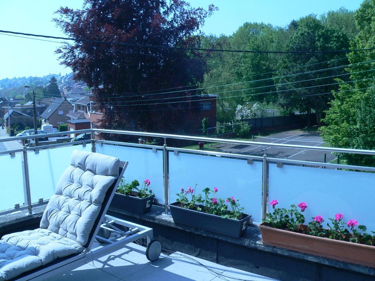 Liege 4420 Rue Jean Jaures 45 Grande Maison Joyeuse Avec Terrasse 30M2 Pour 8 Personnes Maximum Saint-Nicolas  Zewnętrze zdjęcie